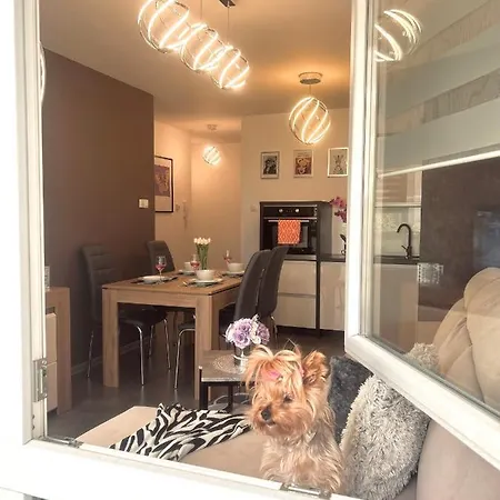 Апартаменти Downtownapartments Andy Air-conditioned, Underground Parking Available *