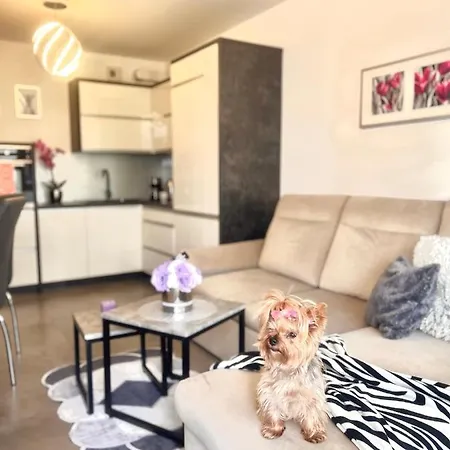Downtownapartments Andy Air-conditioned, Underground Parking Available Apartment Rzeszow