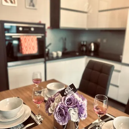 Downtownapartments Andy Air-conditioned, Underground Parking Available Apartment Rzeszow