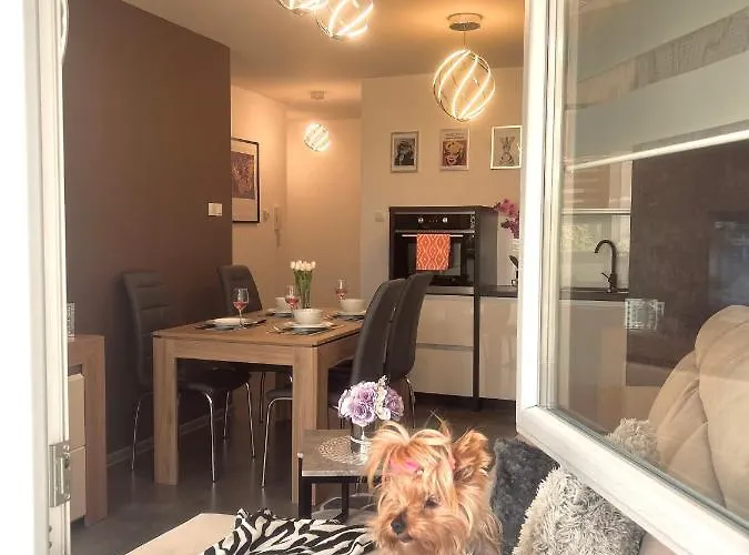 Апартаменти Downtownapartments Andy Air-conditioned, Underground Parking Available *