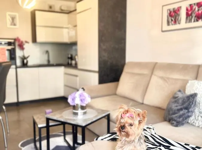 Downtownapartments Andy Air-conditioned, Underground Parking Available Апартаменти Ряшів