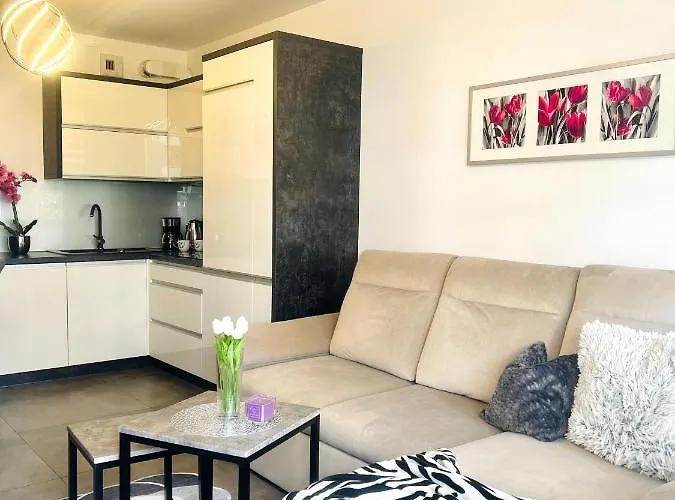 Downtownapartments Andy Air-conditioned, Underground Parking Available